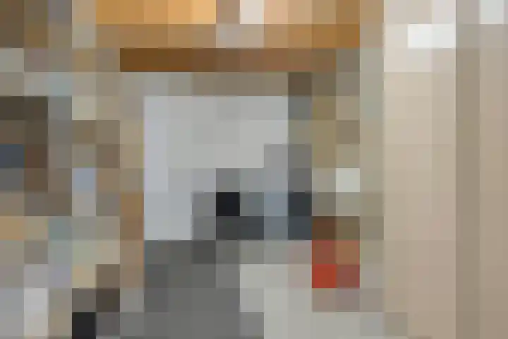 Watermolen 10 Dinteloord thumbnail 20