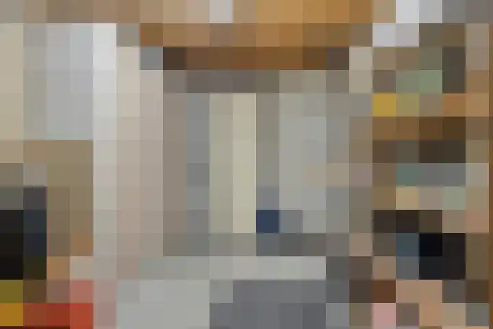 Watermolen 10 Dinteloord thumbnail 21
