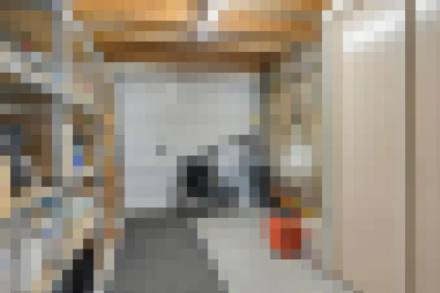 Watermolen 10 Dinteloord thumbnail 22