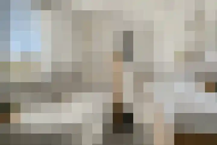 Watermolen 10 Dinteloord thumbnail 23