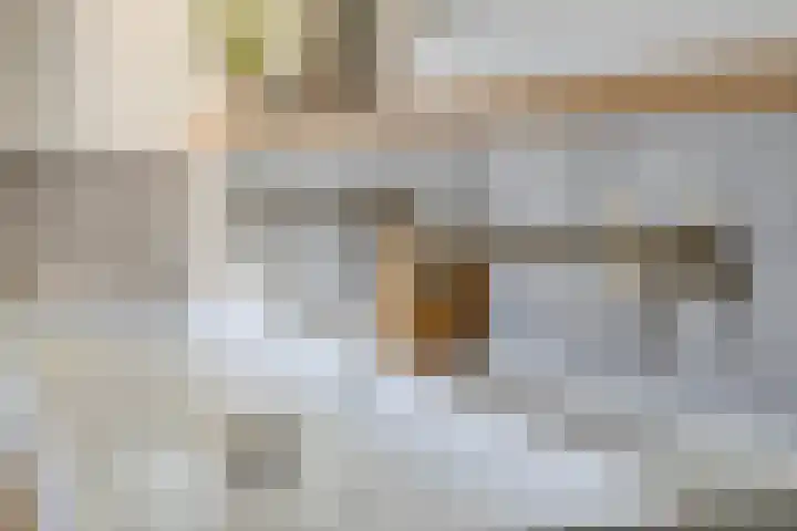 Watermolen 10 Dinteloord thumbnail 27