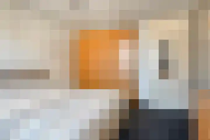 Watermolen 10 Dinteloord thumbnail 29