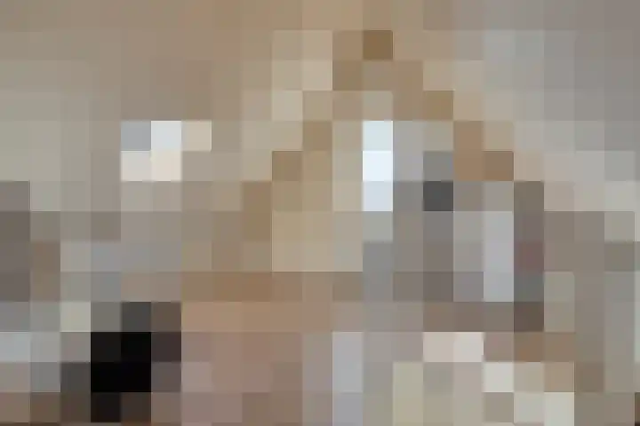 Watermolen 10 Dinteloord thumbnail 35