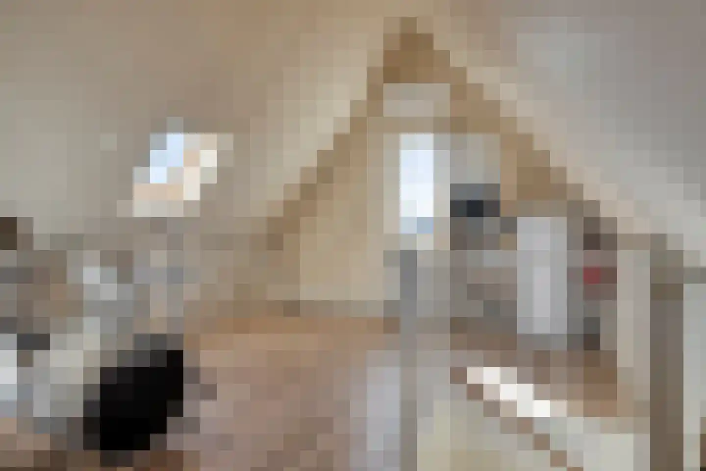 Watermolen 10 Dinteloord thumbnail 36