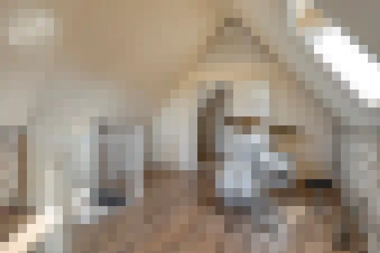 Watermolen 10 Dinteloord thumbnail 37