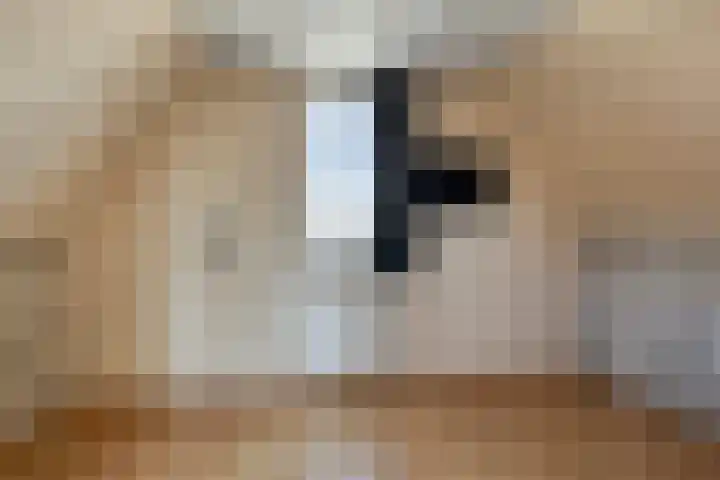 Watermolen 10 Dinteloord thumbnail 37