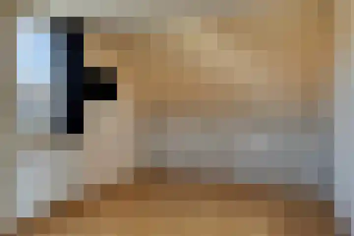 Watermolen 10 Dinteloord thumbnail 38