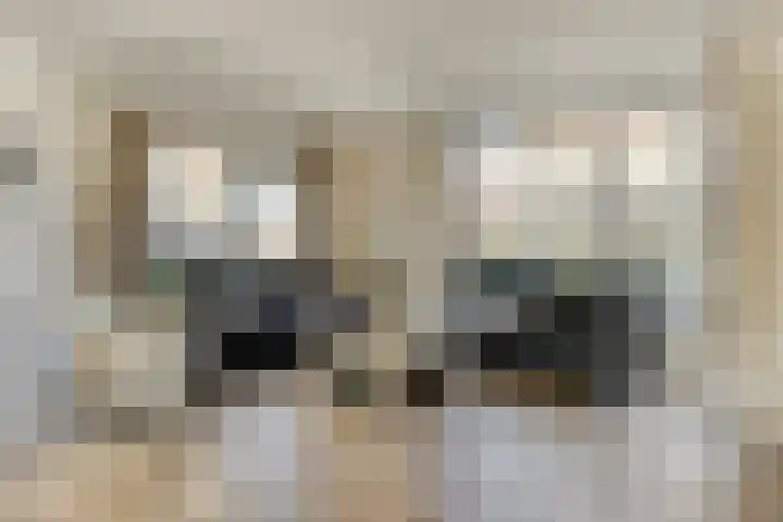 Watermolen 10 Dinteloord thumbnail 4