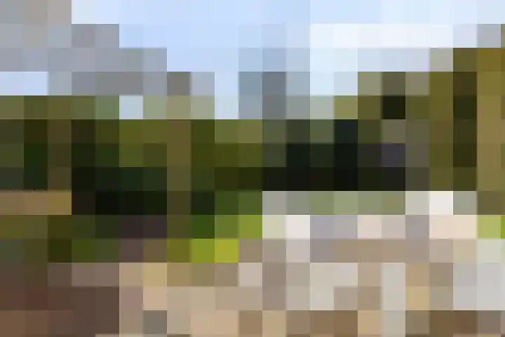 Watermolen 10 Dinteloord thumbnail 40