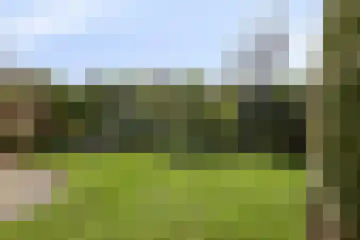 Watermolen 10 Dinteloord thumbnail 42