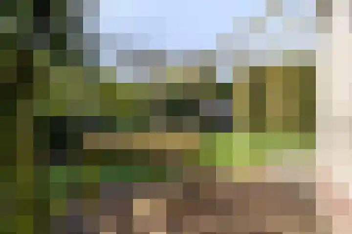 Watermolen 10 Dinteloord thumbnail 44