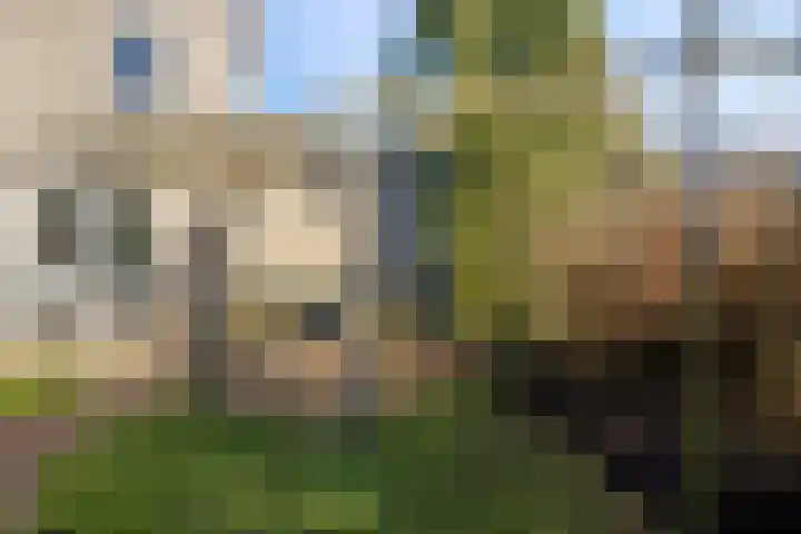Watermolen 10 Dinteloord thumbnail 45