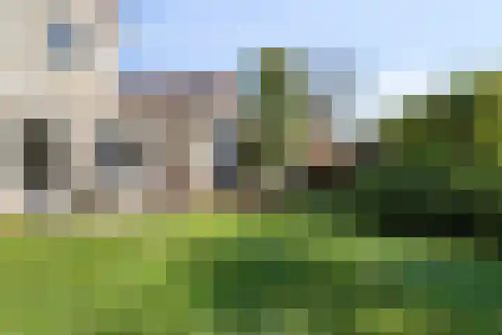 Watermolen 10 Dinteloord thumbnail 48