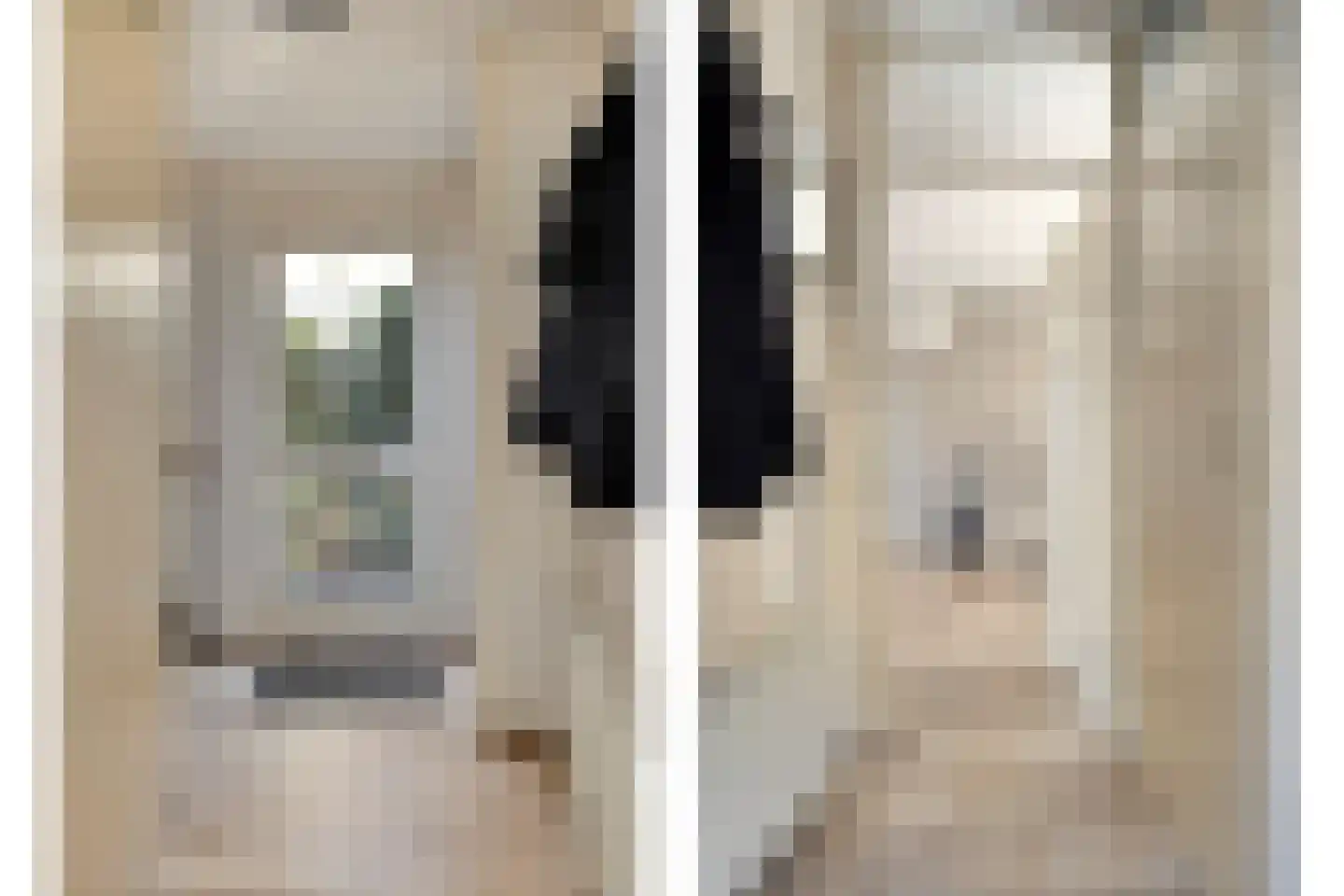 Watermolen 10 Dinteloord thumbnail 5