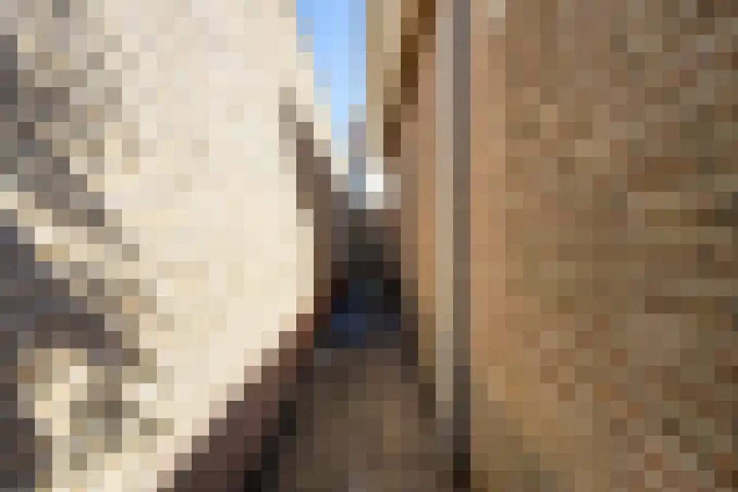 Watermolen 10 Dinteloord thumbnail 50