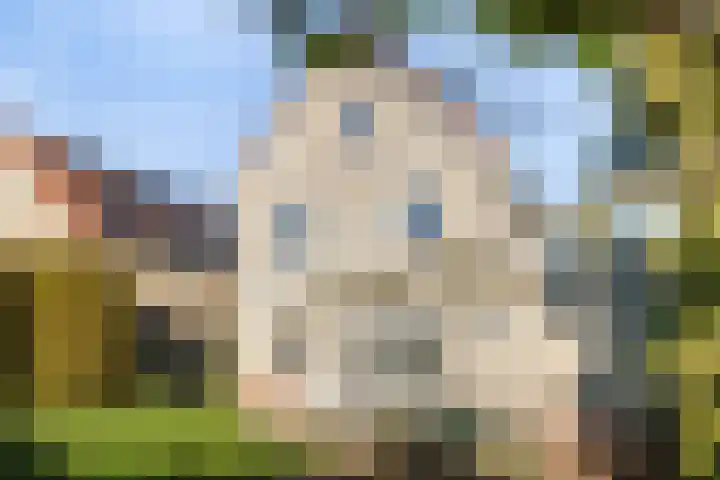 Watermolen 10 Dinteloord thumbnail 51
