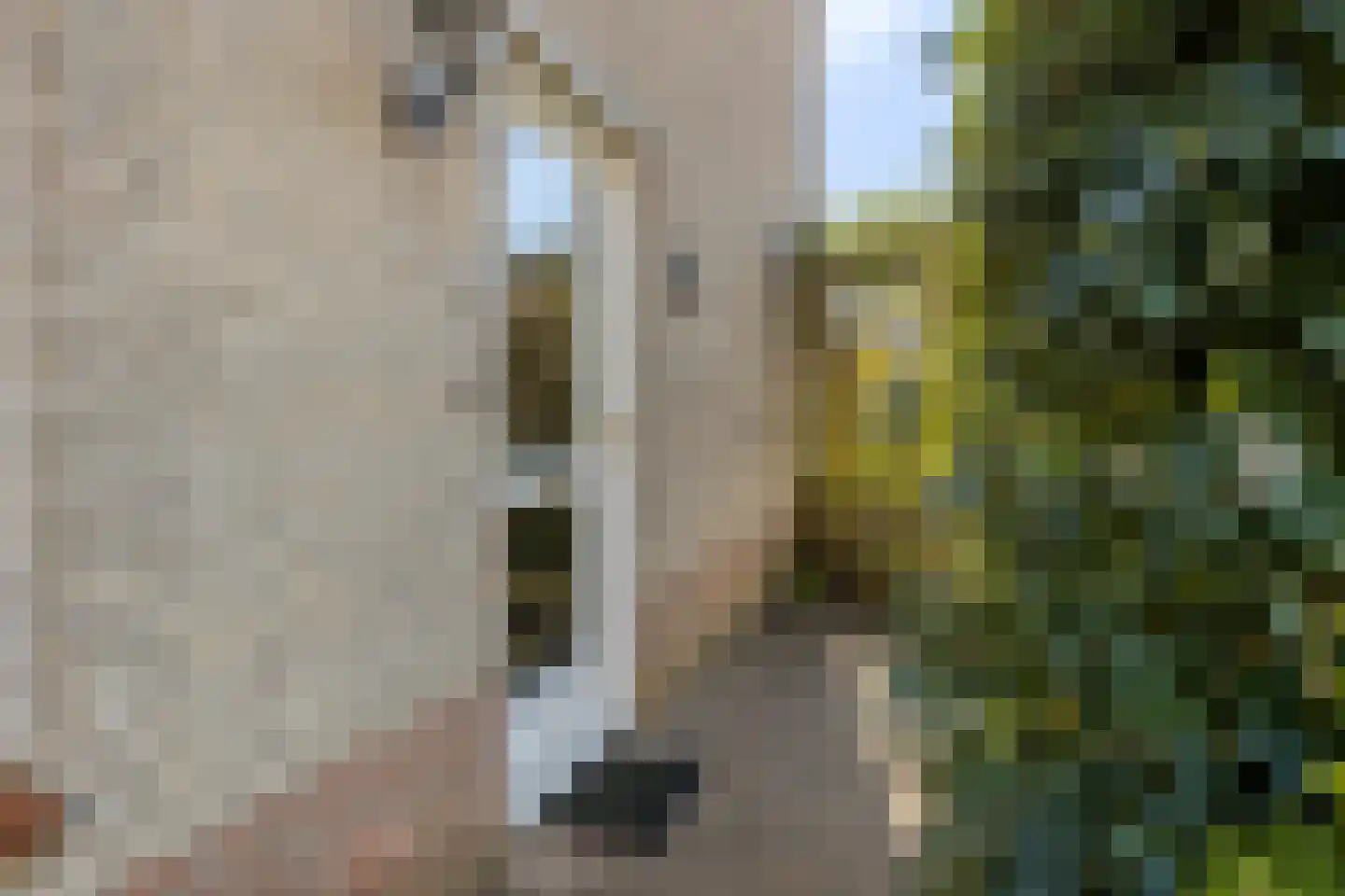 Watermolen 10 Dinteloord thumbnail 57