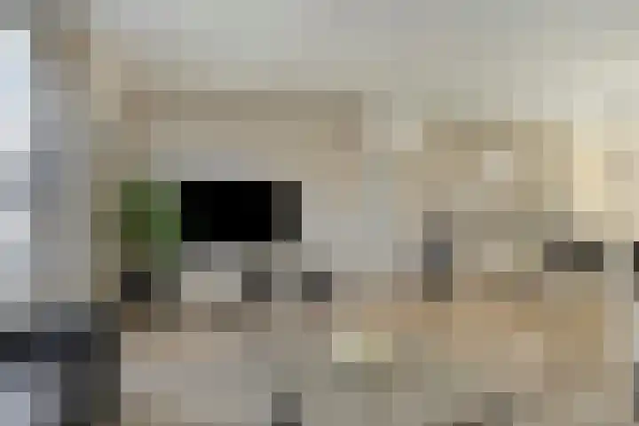 Watermolen 10 Dinteloord thumbnail 6