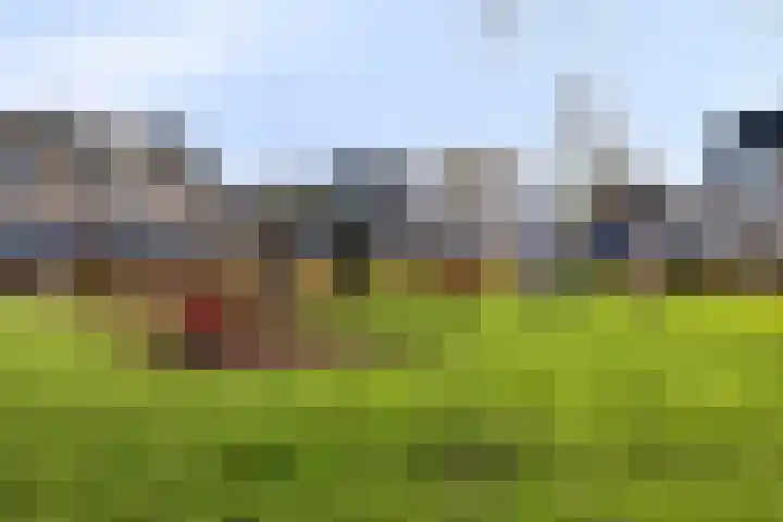 Watermolen 10 Dinteloord thumbnail 60