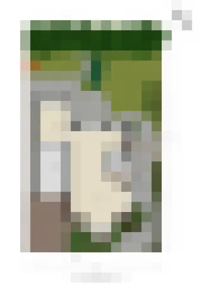 Watermolen 10 Dinteloord thumbnail 63