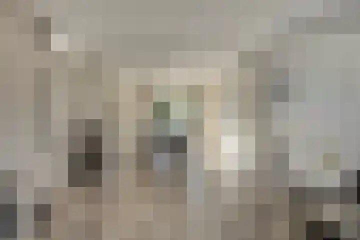 Watermolen 10 Dinteloord thumbnail 8