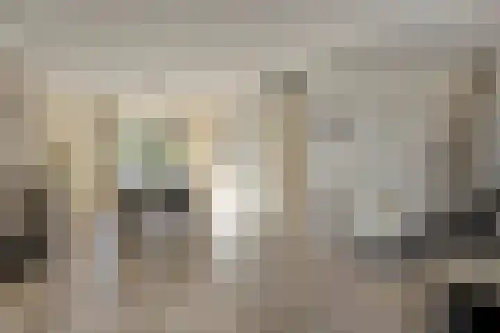 Watermolen 10 Dinteloord thumbnail 9