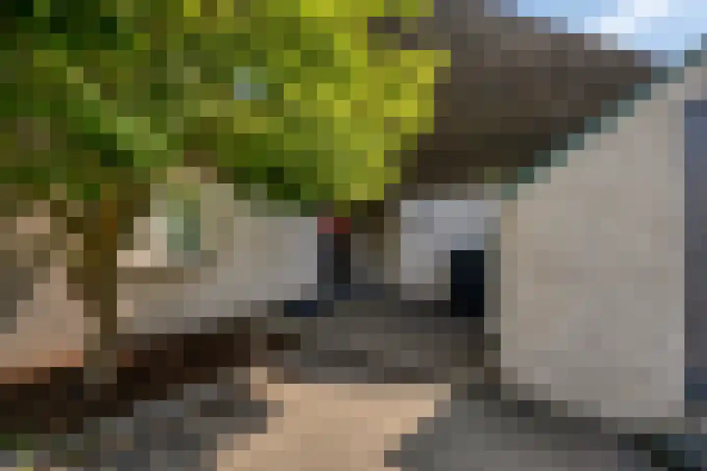 Watermolen 101 Ridderkerk thumbnail 6