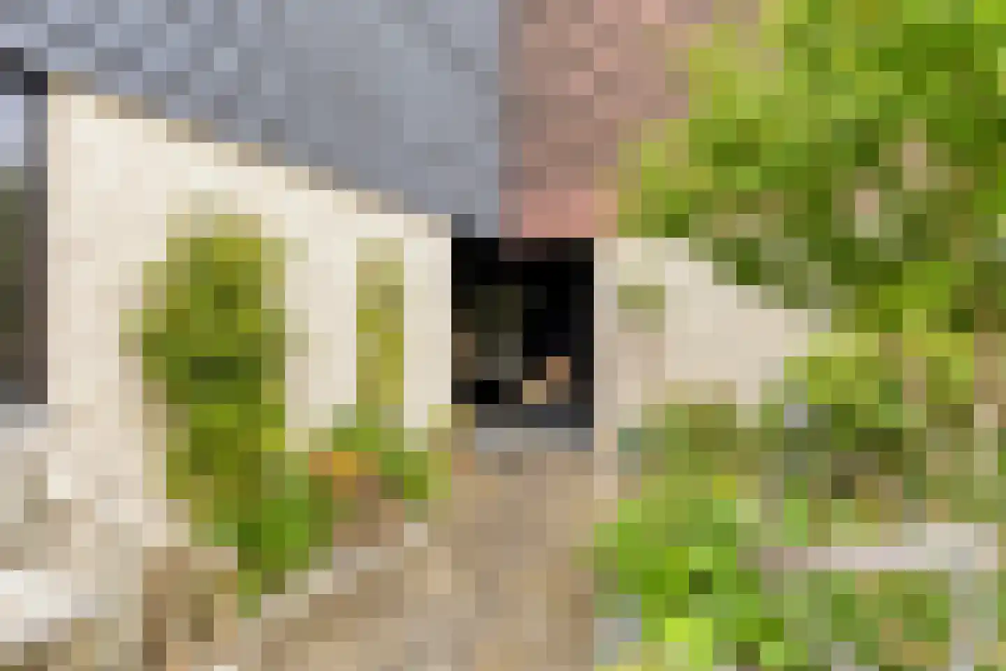 Watermolen 106 Ridderkerk thumbnail 5