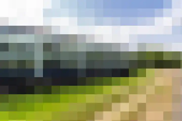 Watermolen 12 Maassluis thumbnail 35