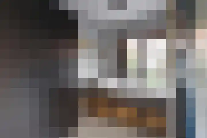 Watermolen 13 De Lier thumbnail 19