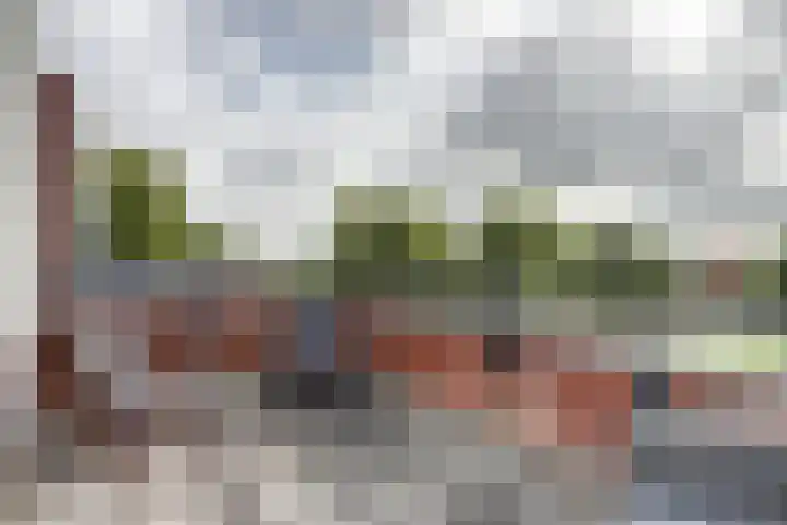 Watermolen 13 De Lier thumbnail 28