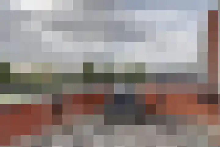 Watermolen 13 De Lier thumbnail 29