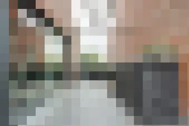 Watermolen 13 De Lier thumbnail 31