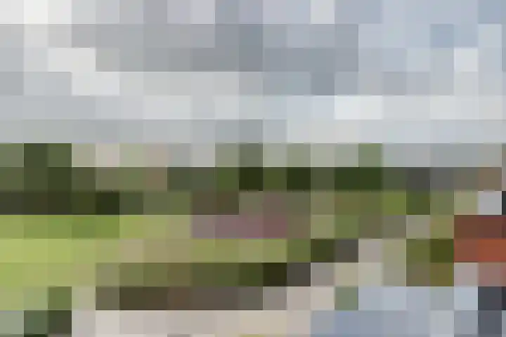Watermolen 13 De Lier thumbnail 32