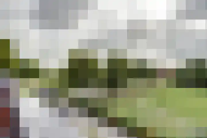 Watermolen 13 De Lier thumbnail 33