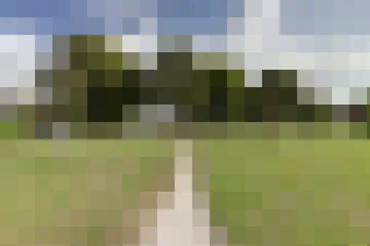 Watermolen 13 De Lier thumbnail 37