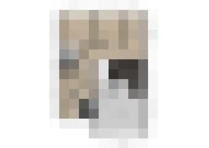 Watermolen 13 De Lier thumbnail 38