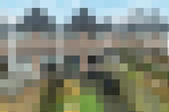 Watermolen 132 Ridderkerk thumbnail 33