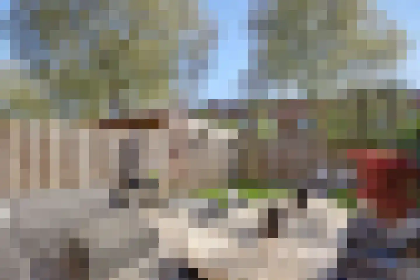 Watermolen 141 Ridderkerk thumbnail 40