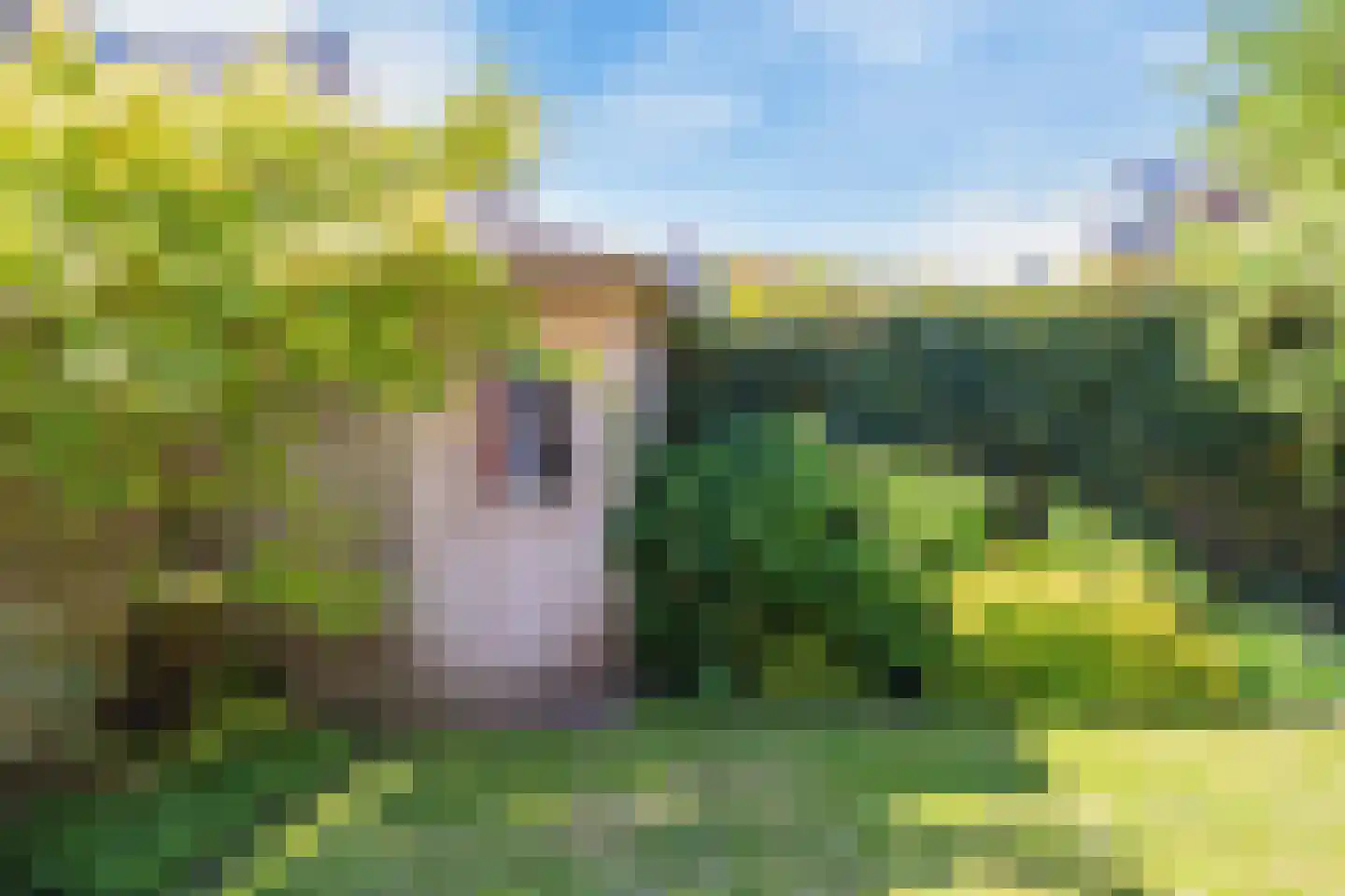 Watermolen 15 Noordwijkerhout thumbnail 37