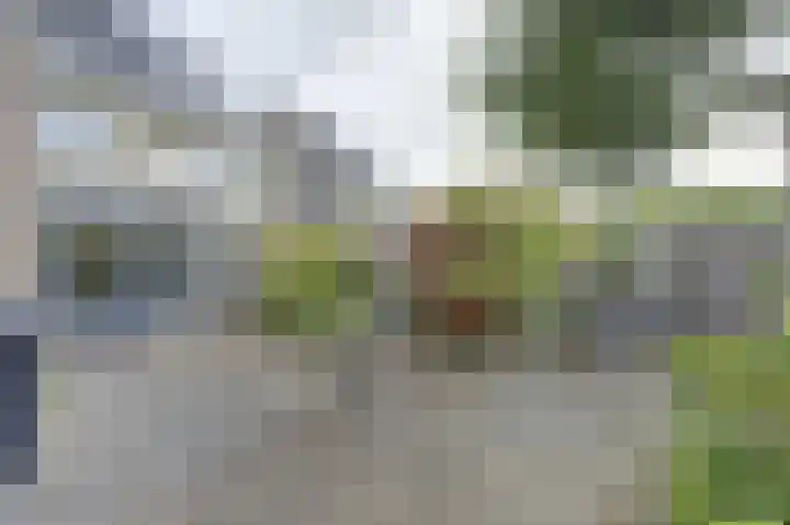 Watermolen 15 Tholen thumbnail 33