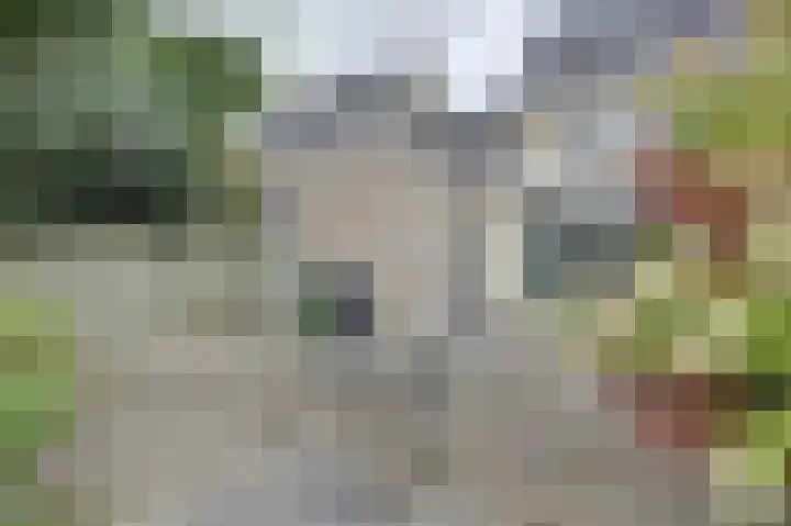 Watermolen 15 Tholen thumbnail 34