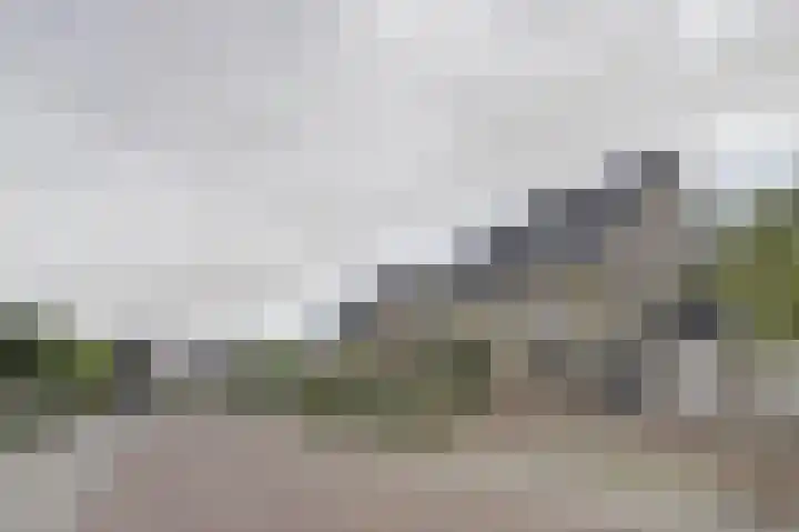Watermolen 15 Tholen thumbnail 6