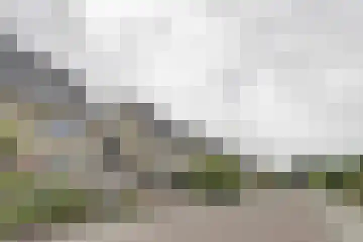 Watermolen 15 Tholen thumbnail 7
