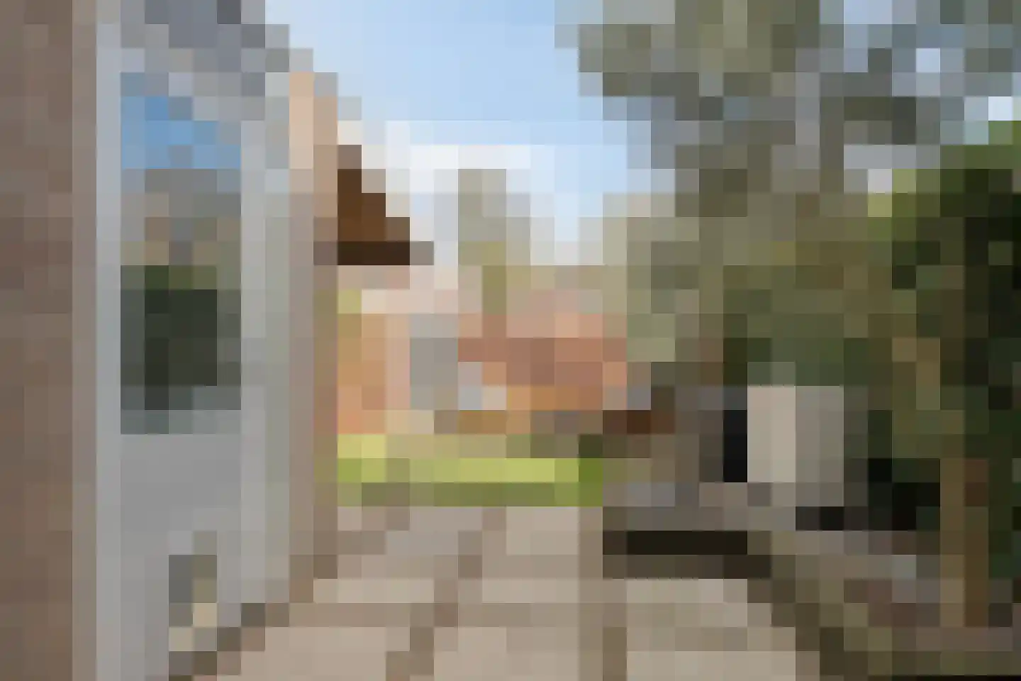Watermolen 16 Houten thumbnail 29