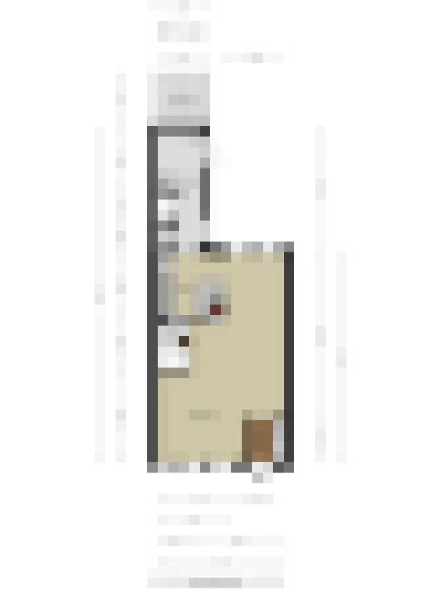 Watermolen 16 Houten thumbnail 36