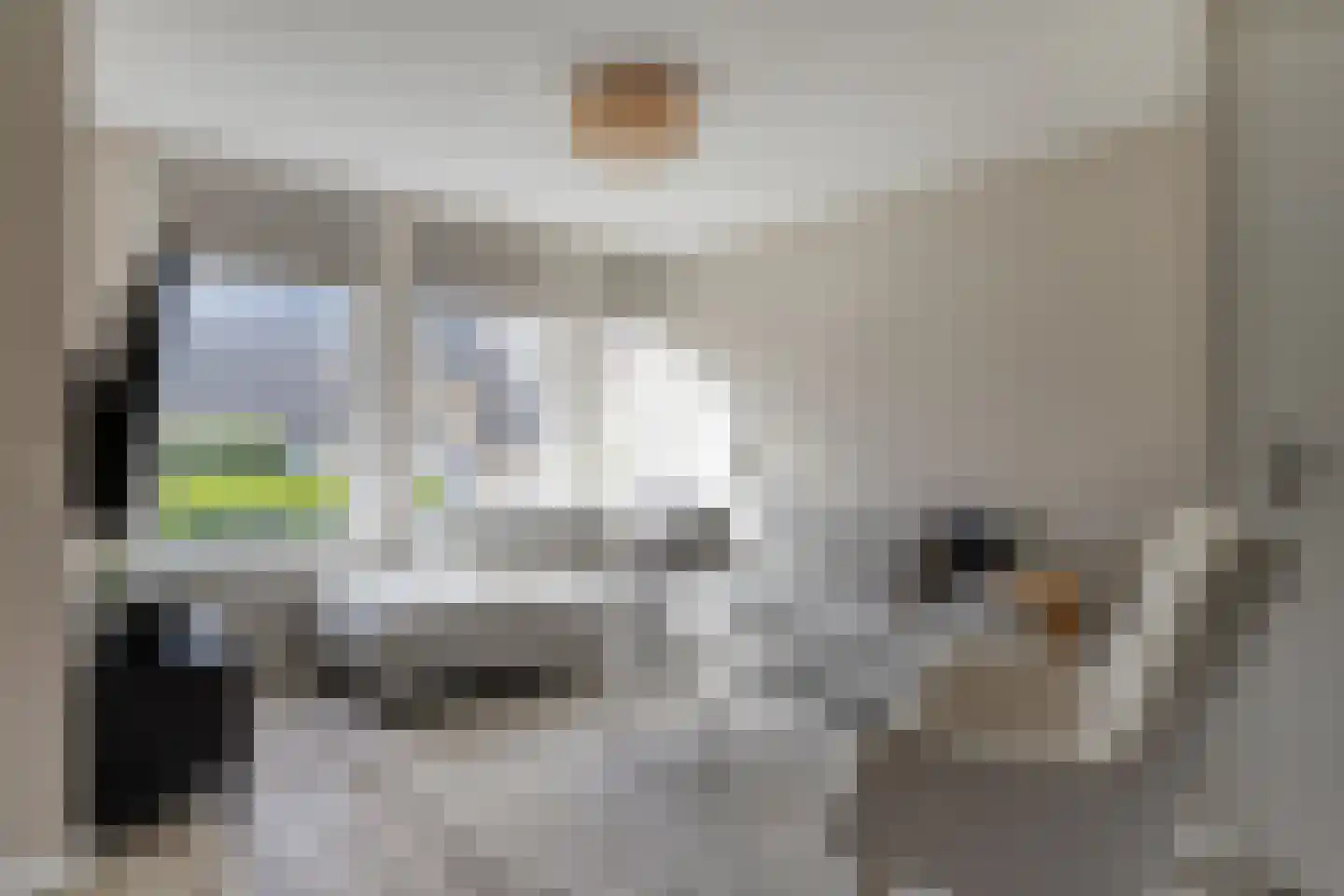 Watermolen 16 Houten thumbnail 4
