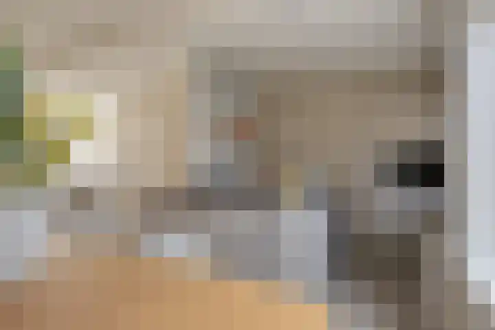 Watermolen 16 Houten thumbnail 7