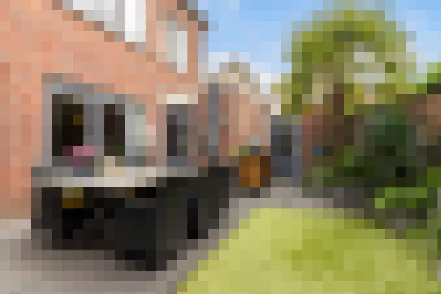 Watermolen 22 Loenen thumbnail 32