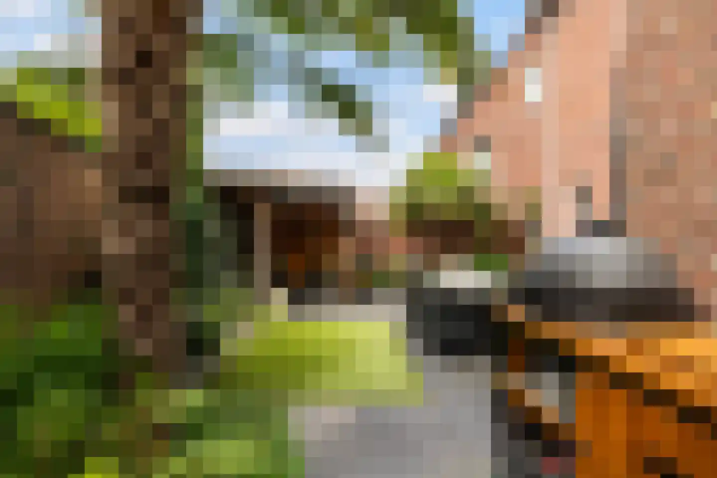 Watermolen 22 Loenen thumbnail 33